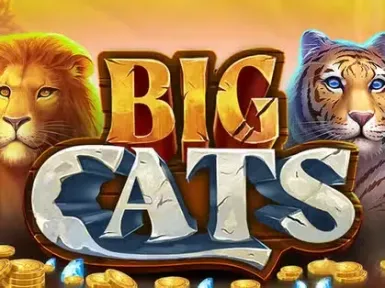 Mega Ball Casino screenshot
